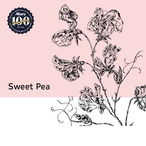 Albany Sweet Pea Hero 600x600 copy
